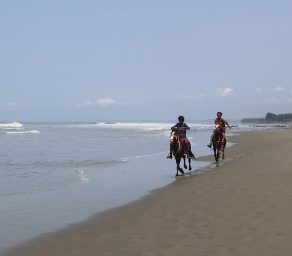 Two riders on horseback moving along a wide sandy beach with the sea behind them in bright daylight