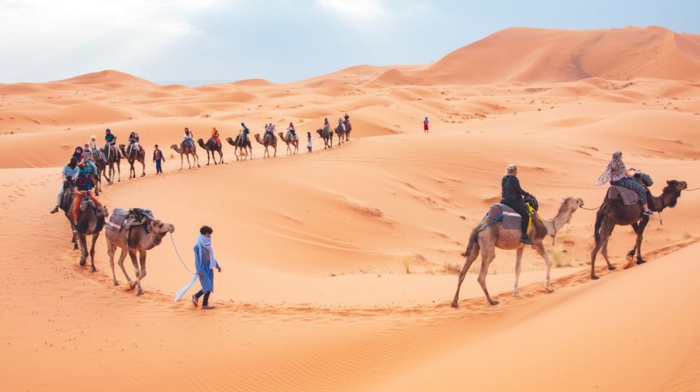 Travellers riding camels in a caravan across the Erg Chebbi sand dunes at Merzouga, Morocco