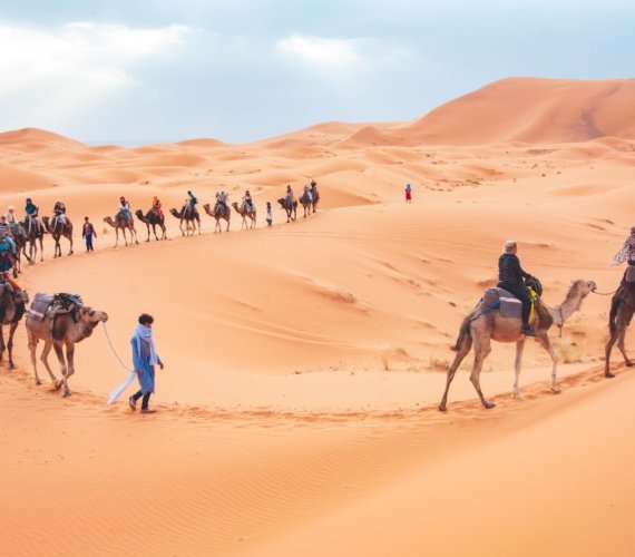 Travellers riding camels in a caravan across the Erg Chebbi sand dunes at Merzouga, Morocco