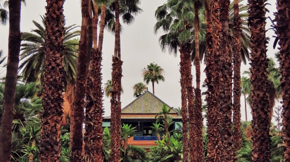 Visitors on the brick path of Jardin Majorelle in Marrakech, lined with cobalt-blue urns and tall palms leading to the green-tiled pavilion.