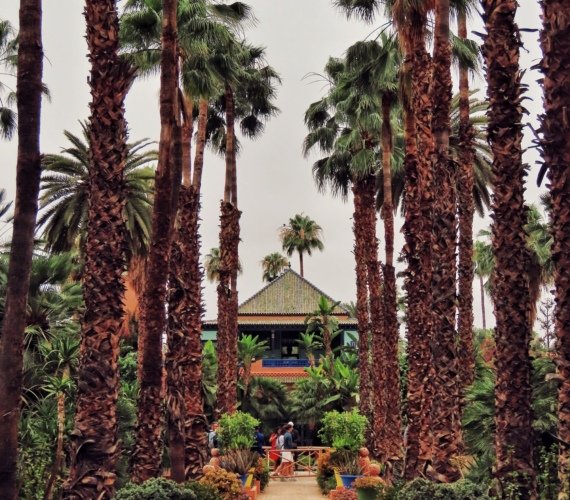 Visitors on the brick path of Jardin Majorelle in Marrakech, lined with cobalt-blue urns and tall palms leading to the green-tiled pavilion.