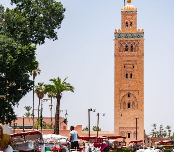 Green horse-drawn caleches with white horses lined up for sightseeing tours below the ochre Koutoubia minaret in Marrakech.