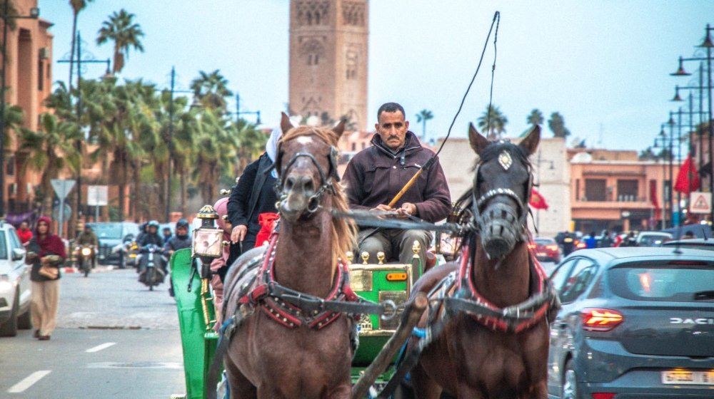 A green horse-drawn calèche with two horses trotting down a Marrakech avenue below the Koutoubia Mosque minaret and palm trees