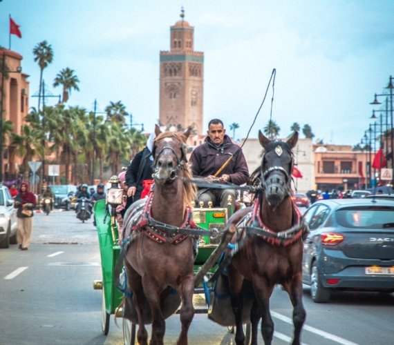 A green horse-drawn calèche with two horses trotting down a Marrakech avenue below the Koutoubia Mosque minaret and palm trees
