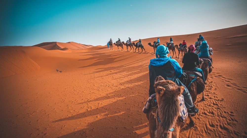 View from a camel saddle along a caravan of riders crossing the orange Merzouga dunes under a deep blue sky