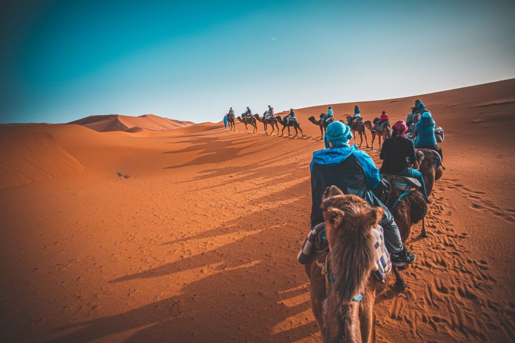 View from a camel saddle along a caravan of riders crossing the orange Merzouga dunes under a deep blue sky
