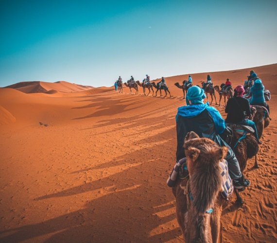 View from a camel saddle along a caravan of riders crossing the orange Merzouga dunes under a deep blue sky