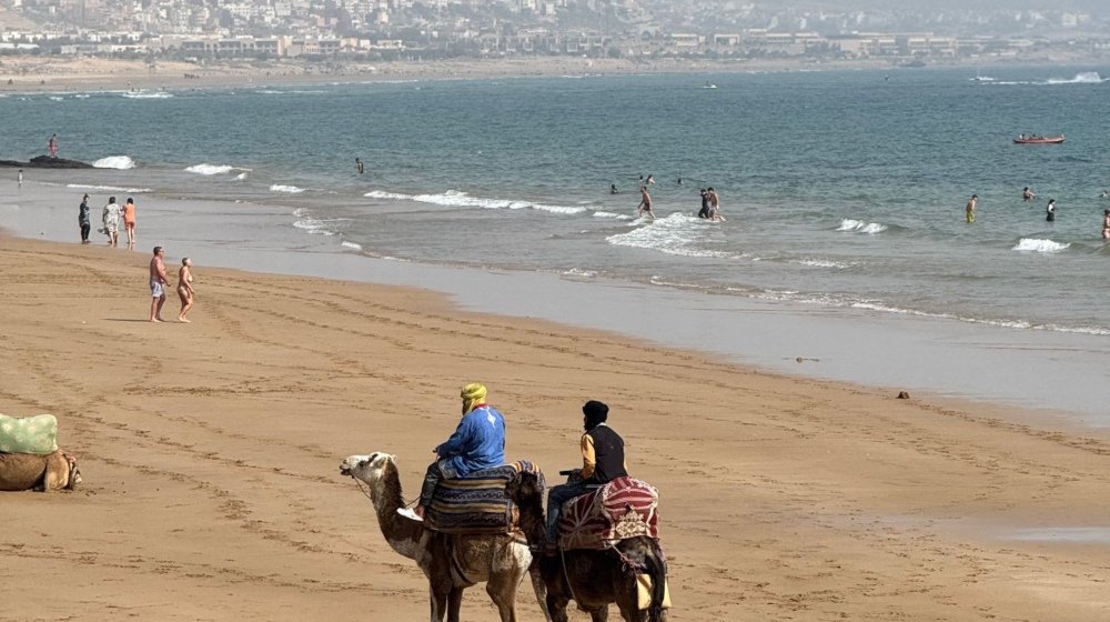 Two riders on camels walking along a sandy Moroccan beach beside the ocean