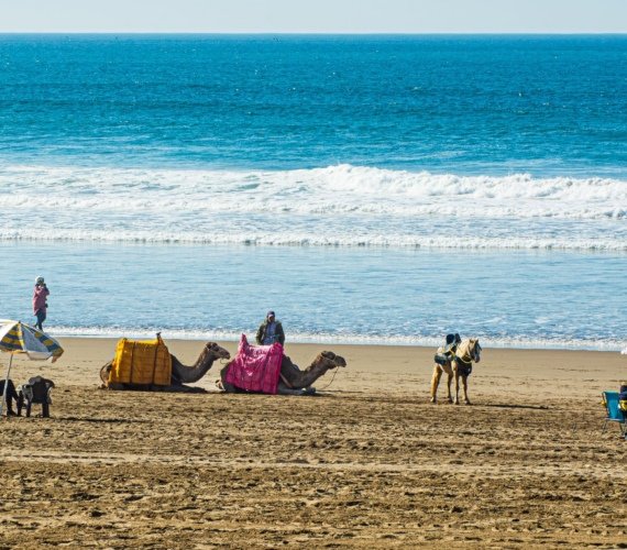 Tourists riding camels along the shoreline of a busy Moroccan beach with sun umbrellas behind