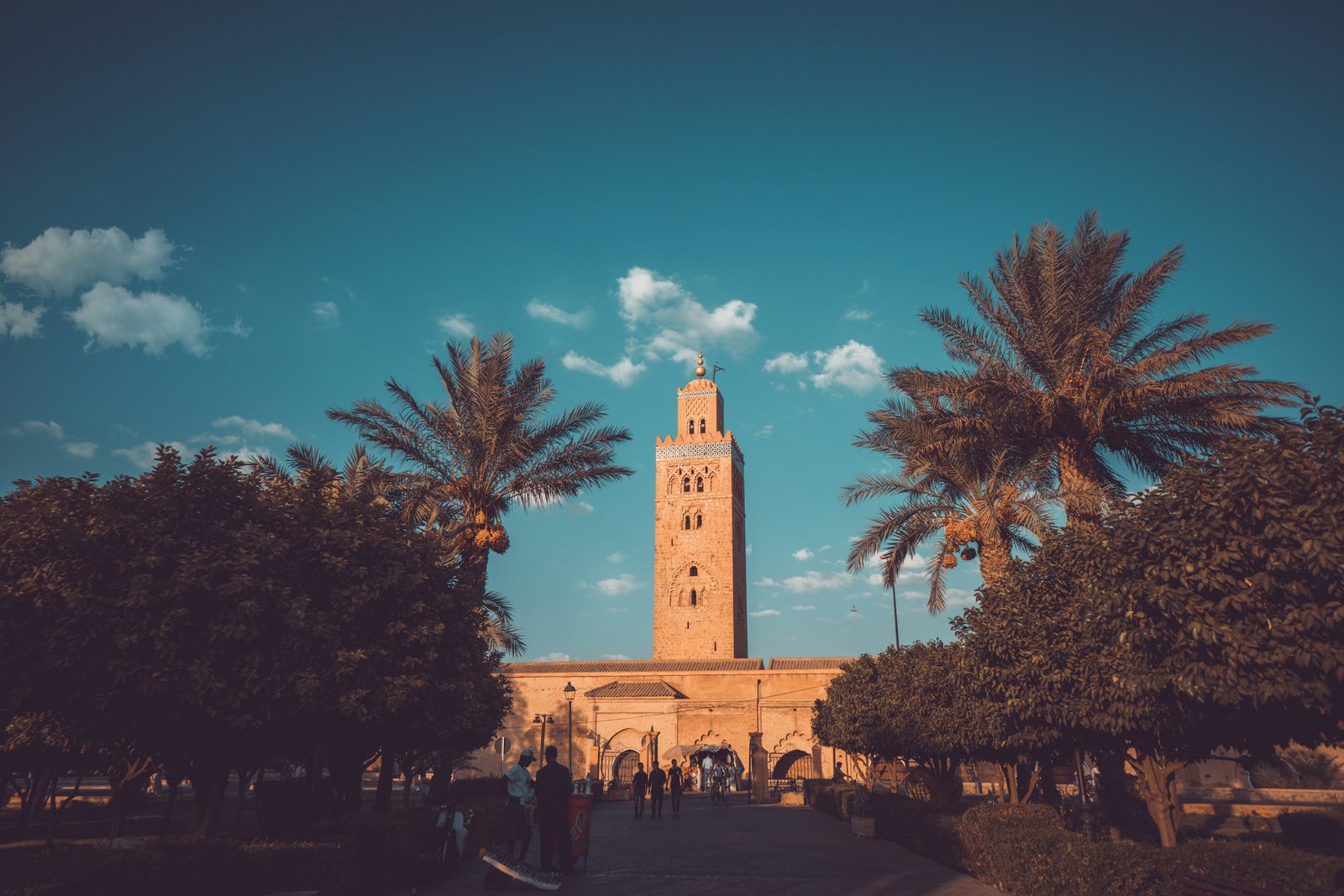 The Koutoubia Mosque minaret rising above the palms of Marrakech at golden hour