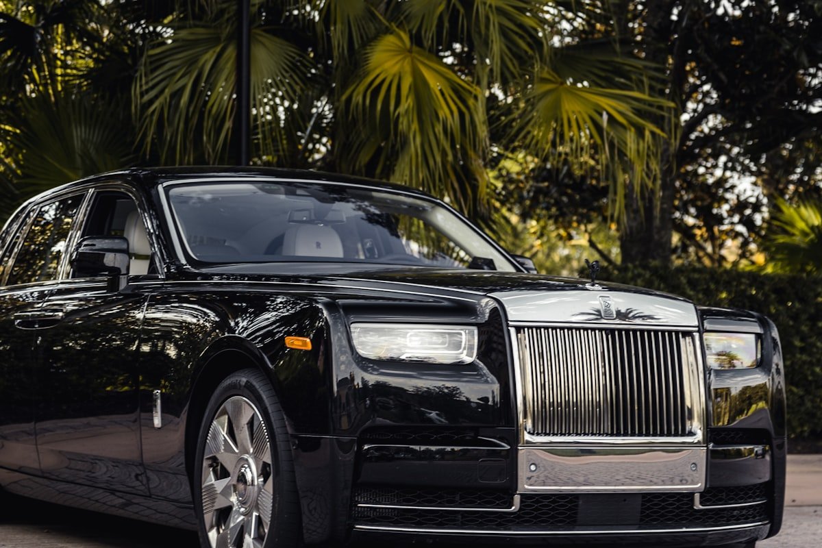 A black executive saloon waiting under palms
